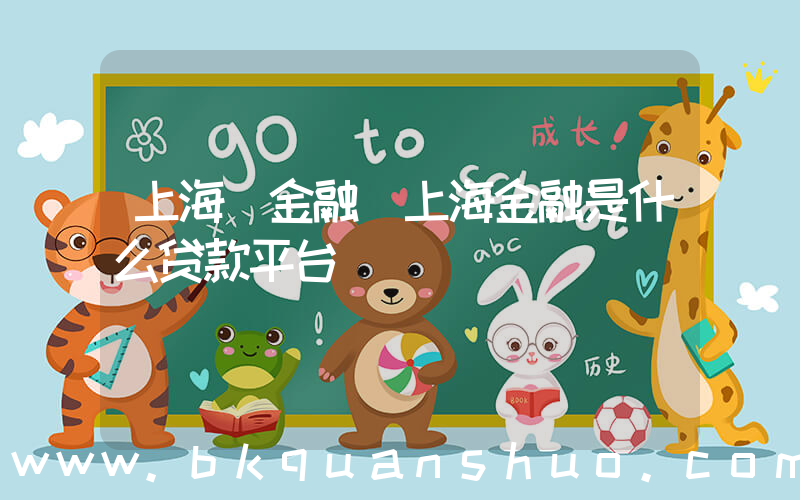 上海 金融(上海金融是什么贷款平台)